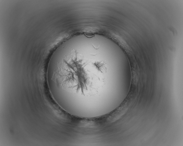 X0000113890354200910081813