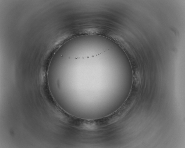 X0000113890355200910081813