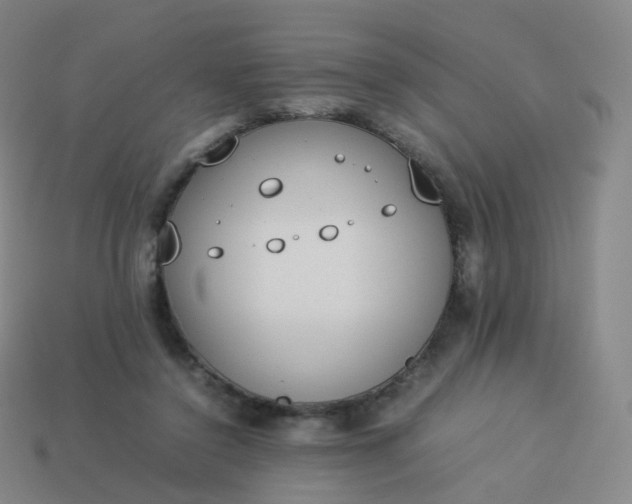 X0000113890356200910081813