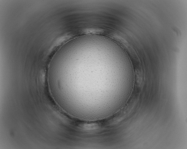 X0000113890357200910081813