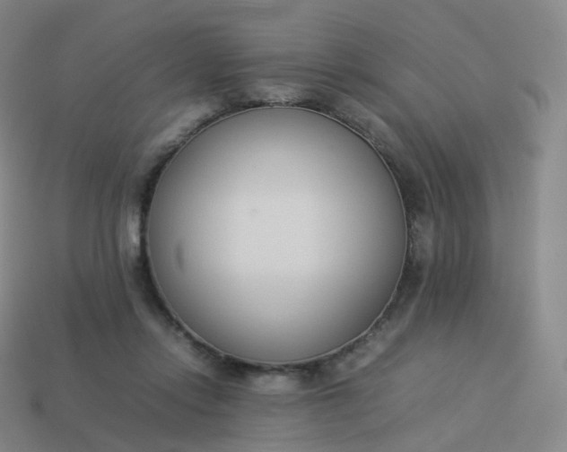 X0000113890358200910081813