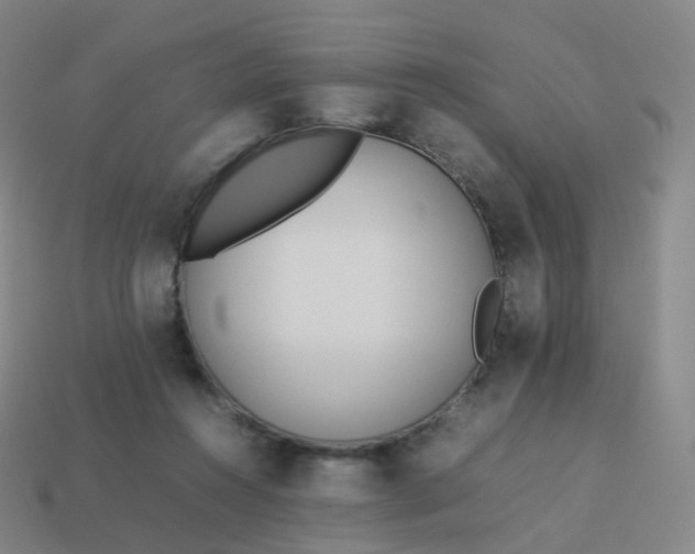 X0000113890360200910081813