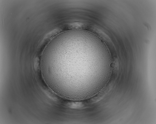 X0000113890361200910081813