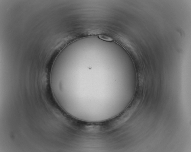 X0000113890362200910081813