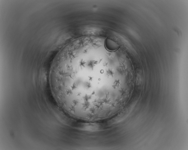 X0000113890363200910081813