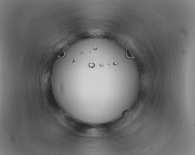 X0000113890364200910081813