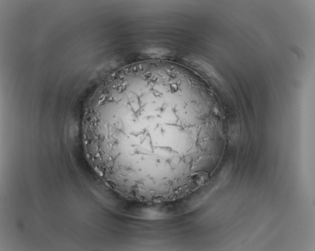 X0000113890365200910081813