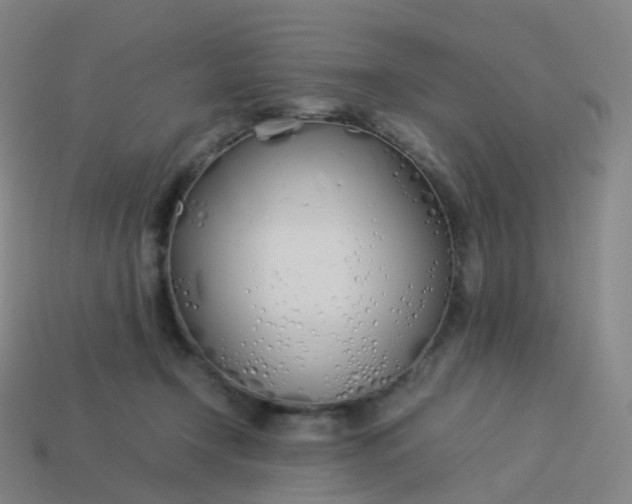 X0000113890366200910081813