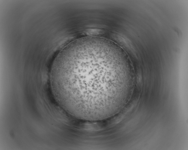 X0000113890367200910081813