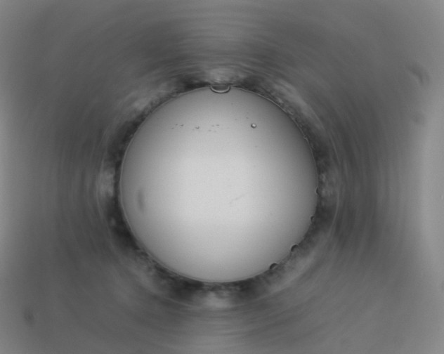 X0000113890368200910081813