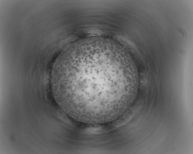 X0000113890369200910081813