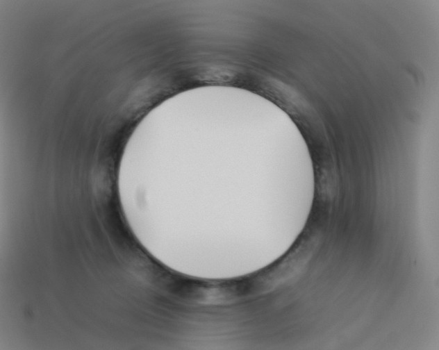 X0000113890370200910081813