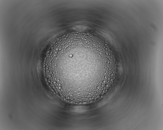 X0000113890371200910081813