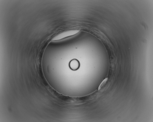 X0000113890372200910081813