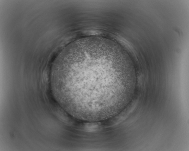 X0000113890373200910081813