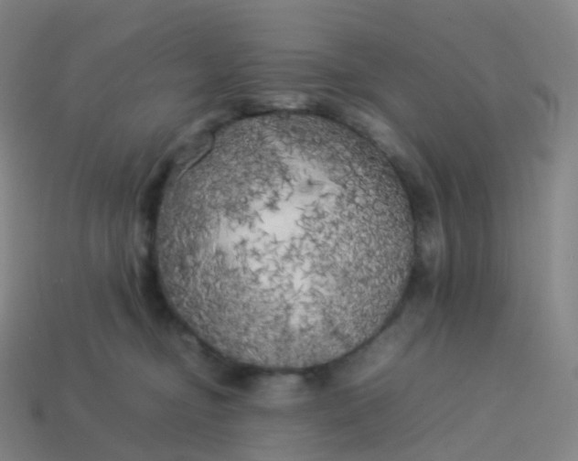 X0000113890374200910081813