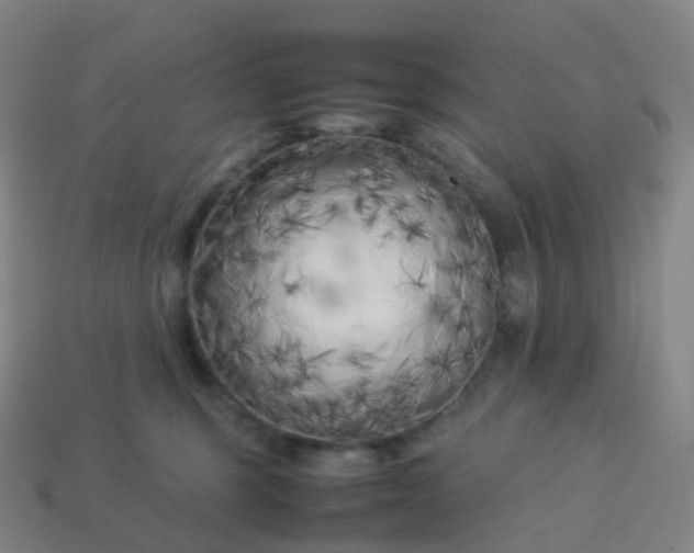 X0000113890375200910081813