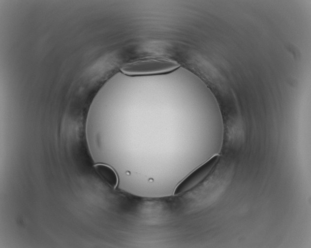 X0000113890376200910081813