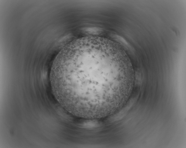 X0000113890377200910081813