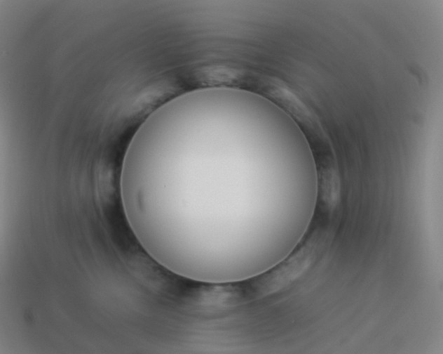 X0000113890378200910081813