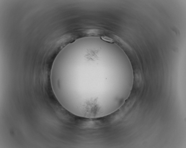 X0000113890379200910081813