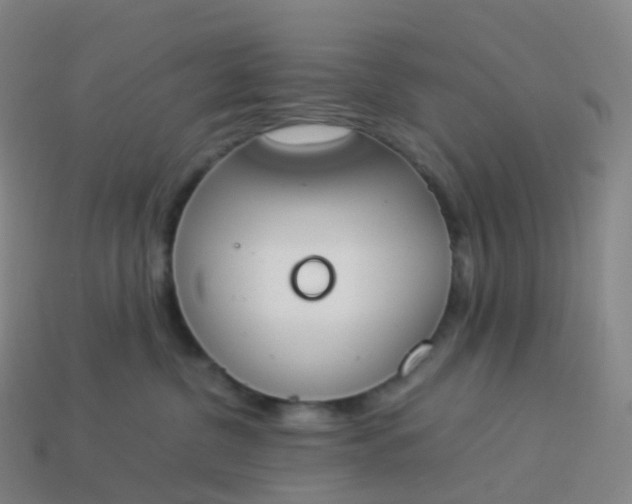 X0000113890380200910081813