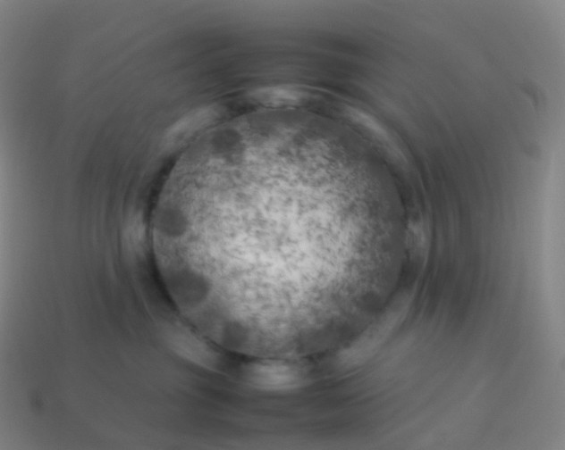 X0000113890381200910081813