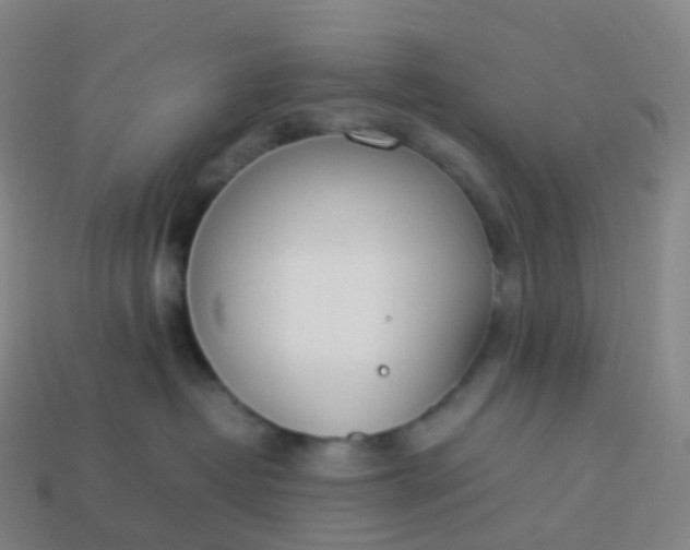 X0000113890382200910081813