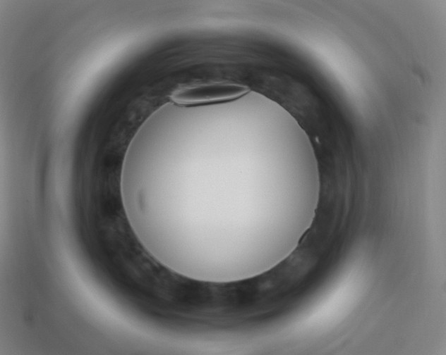 X0000113890383200910081813