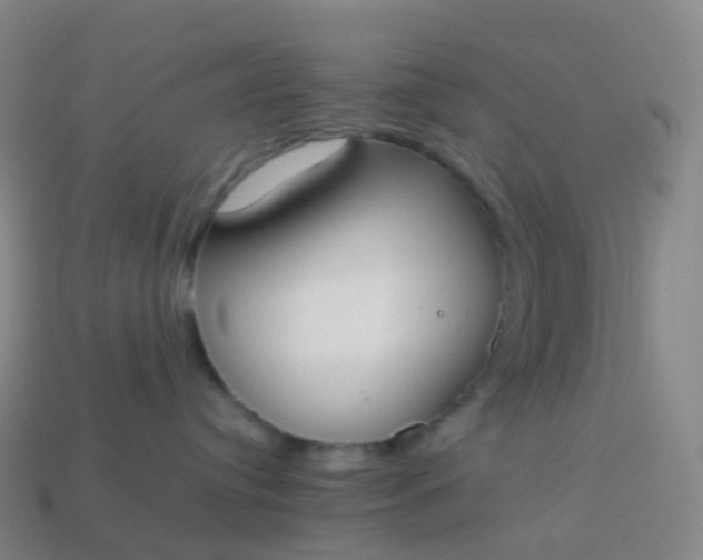 X0000113890384200910081813