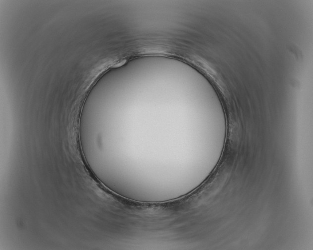 X0000113890385200910081813