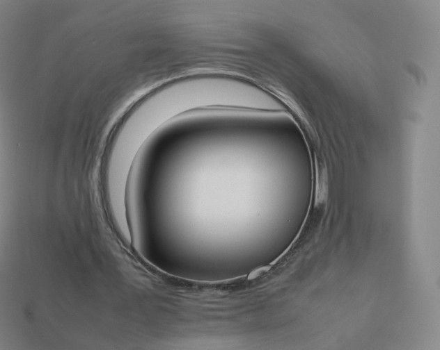 X0000113890387200910081813