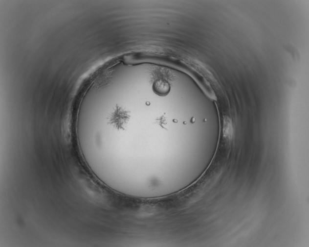 X0000113890388200910081813