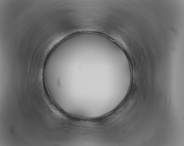 X0000113890389200910081813