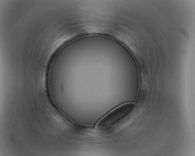 X0000113890391200910081813