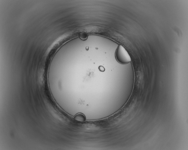 X0000113890392200910081813