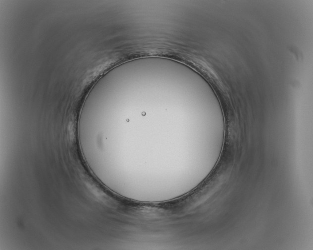 X0000113890393200910081813