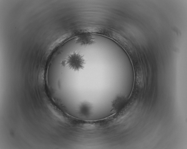 X0000113890394200910081813