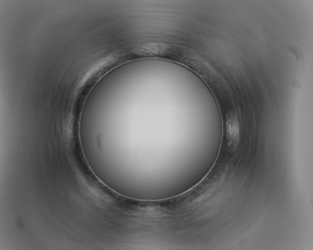 X0000113890396200910081812