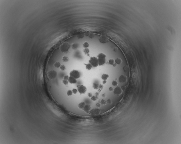 X0000113890398200910081812