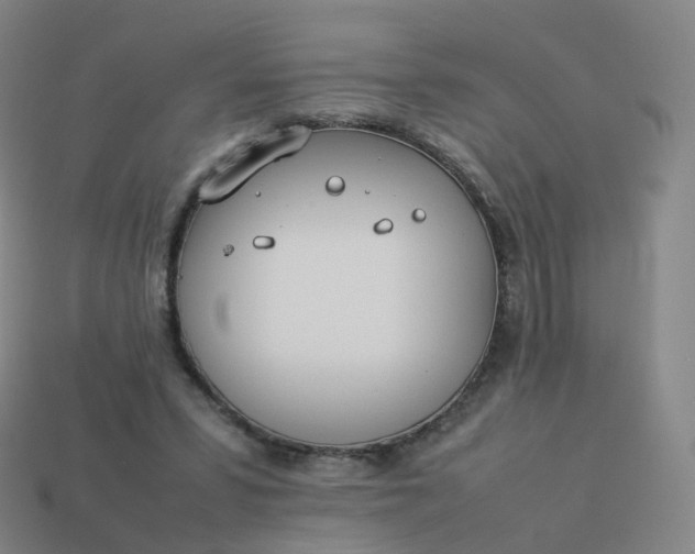 X0000113890399200910081812