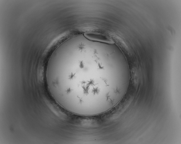 X0000113890400200910081812