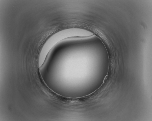 X0000113890401200910081812