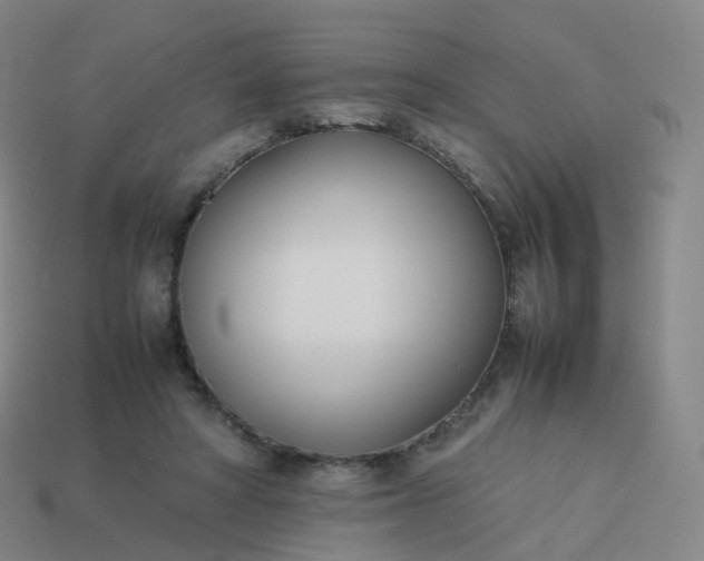 X0000113890402200910081812