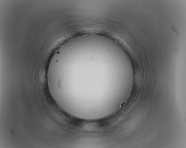 X0000113890403200910081812