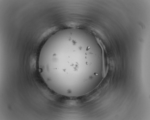 X0000113890404200910081812