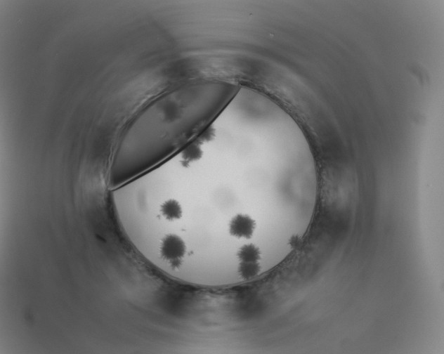 X0000113890405200910081812