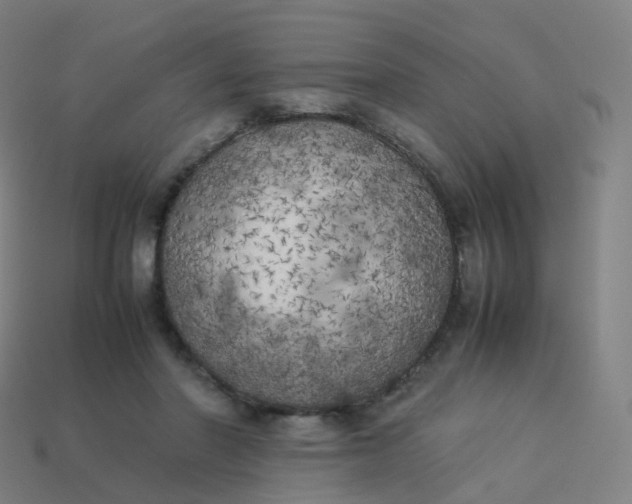 X0000113890406200910081812