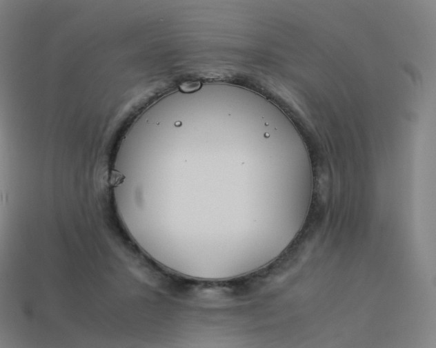 X0000113890407200910081812