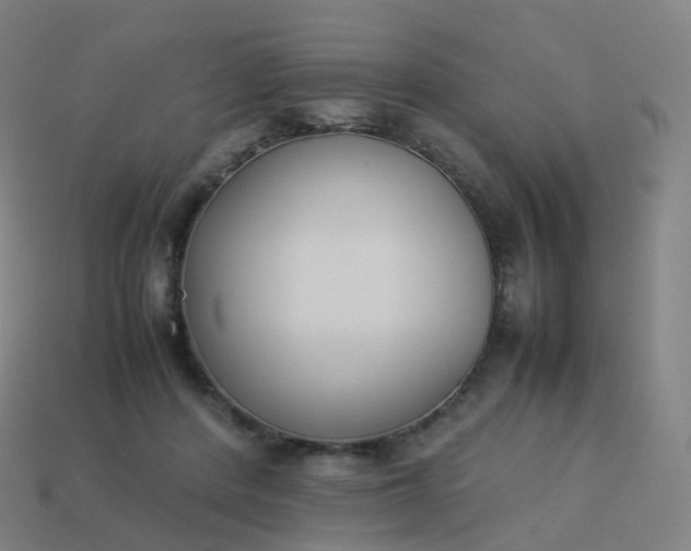 X0000113890408200910081812